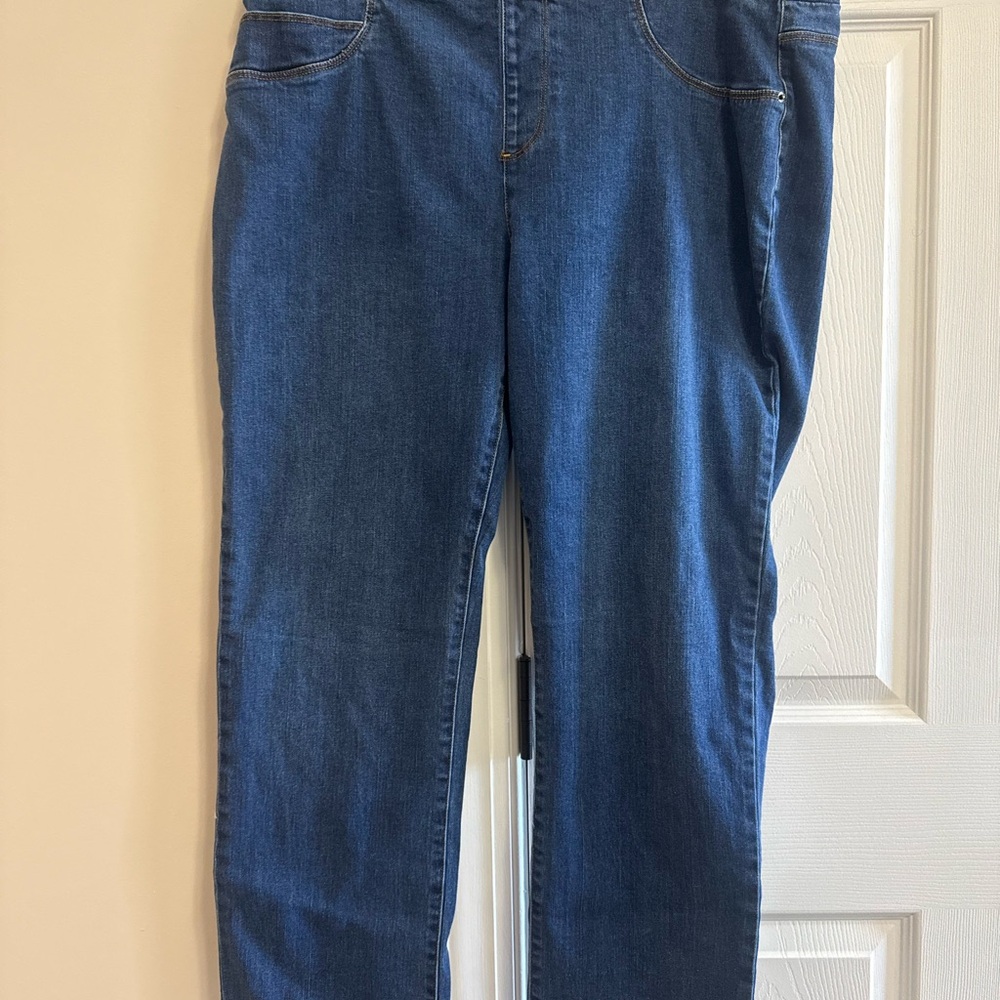 Skye's the Limit Classic Blue Straight Leg Jeans